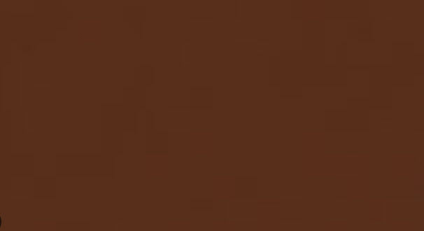 ที่ดินผังเมืองสีน้ำตาล