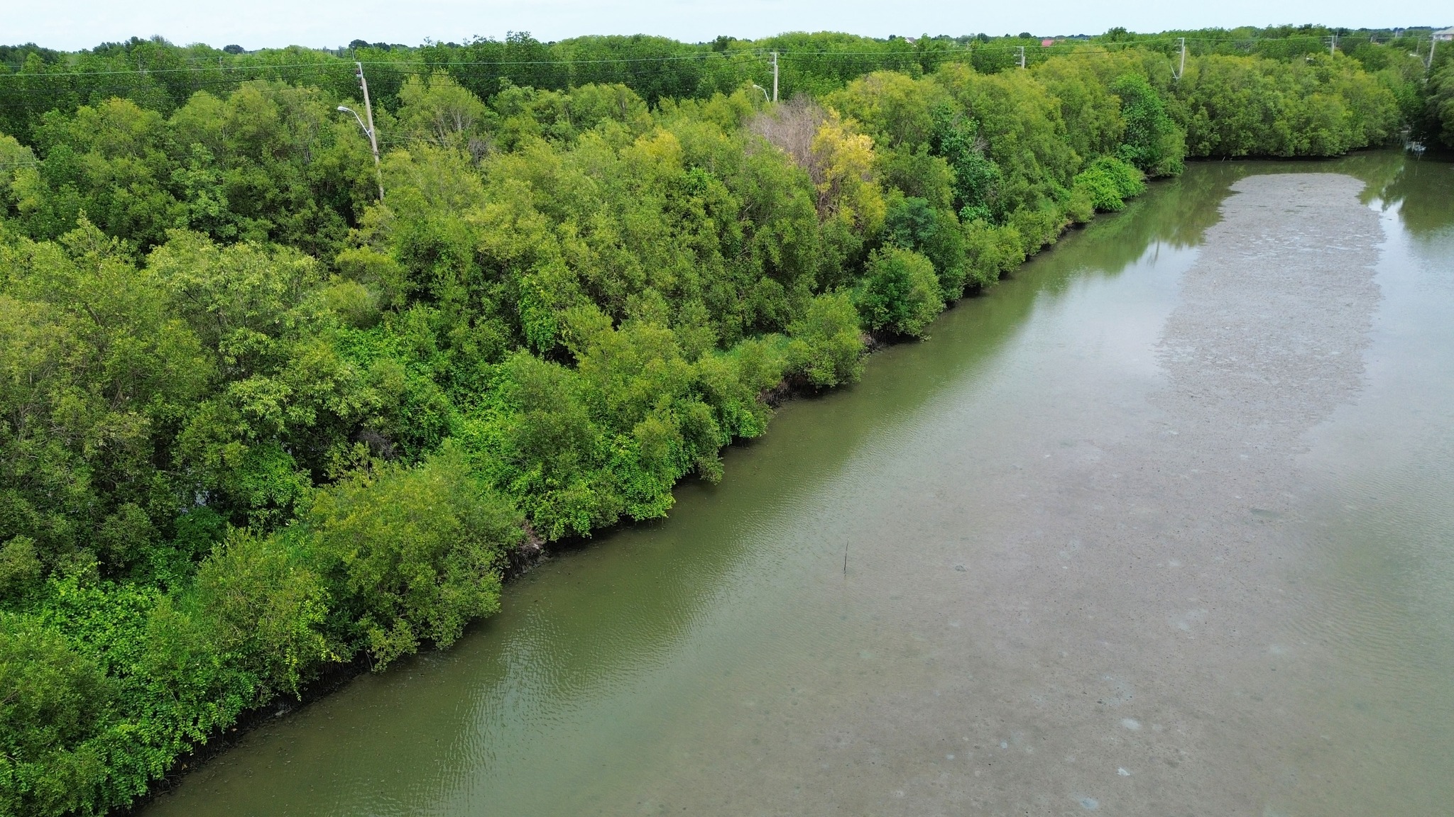 ที่ดินขายราคาประเมิน