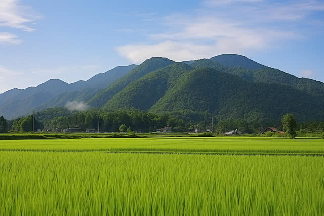 ที่ดินติดภูเขา