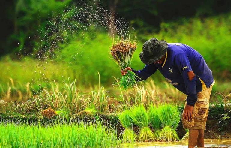 ที่ดินทำเกษตรกรรม